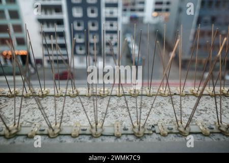 Mise au point sélective et gros plan des détails de Gutter Spikes pour oiseaux, protègent les oiseaux pour nicher et perdurer sur la zone élevée de la façade du bâtiment. Banque D'Images