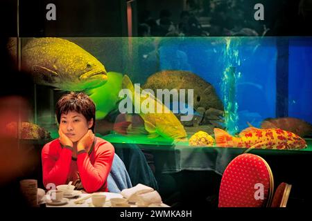 Client dans un restaurant de poissons de récif vivant à Guangzhou où une variété de grands poissons nagent dans l'aquarium derrière elle. La Chine consomme la plus grande quantité de... Banque D'Images