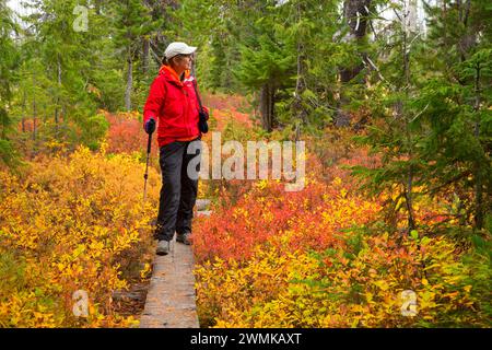 Monon Lake Trail en automne, Ollalie Lake Scenic Area, Mt Hood National Forest, Virginia Banque D'Images