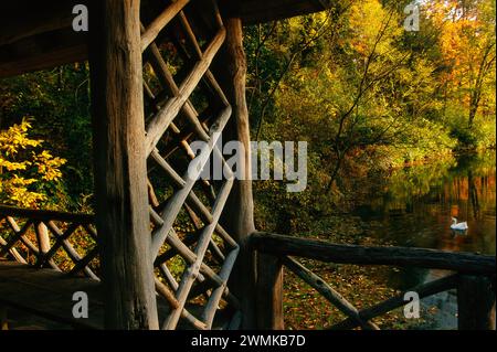 Cygne blanc nage en vue du hangar à bateaux rustique en bois de Bass Pond avec feuillage d'automne ; Asheville, Caroline du Nord, États-Unis d'Amérique Banque D'Images