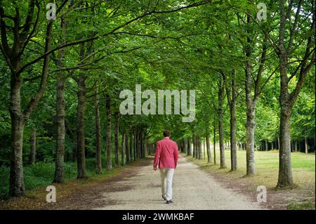 L'homme marche sur un chemin ombragé par les arbres à Versailles, France ; Versailles, France Banque D'Images