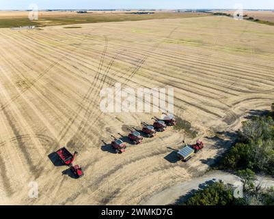 Vue aérienne d'un champ coupé avec une rangée de moissonneuses-batteuses, près de Beiseker, Alberta ; Alberta, Canada Banque D'Images
