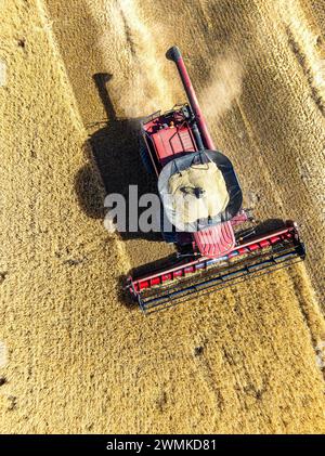 Vue aérienne aérienne d'une moissonneuse-batteuse dans un champ de céréales à la récolte avec une trémie pleine de grain, près de Beiseker, Alberta ; Alberta, Canada Banque D'Images