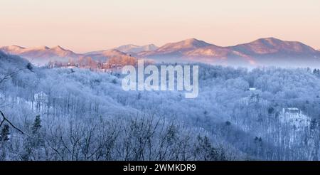 La glace de rime recouvre les arbres dans cette vue tôt le matin sur les Blue Ridge Mountains près de Weaverville ; Caroline du Nord, États-Unis d'Amérique Banque D'Images