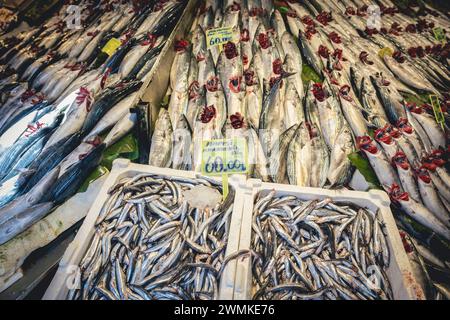 Poisson à vendre au marché de produits de Kadikoy à Kadikoy, Istanbul ; Istanbul, Turquie Banque D'Images