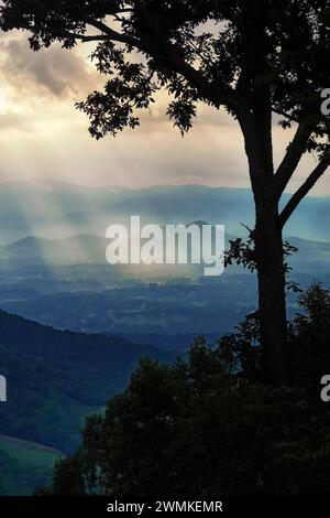 Vieux chêne en silhouette se dresse au-dessus d'une vallée de montagne remplie de rayons de lumière au coucher du soleil ; Weaverville, Caroline du Nord, États-Unis d'Amérique Banque D'Images