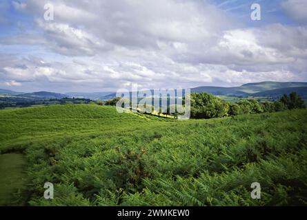 Beau paysage de collines ondulantes sous un ciel couvert Banque D'Images