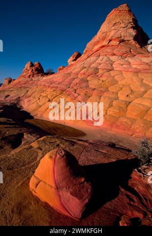 Des lits croisés de grès Navajo peignent les Coyote Buttes dans des teintes créées par la précipitation des oxydes. D'un escarpement de 3 000 pieds de haut à un canyon... Banque D'Images