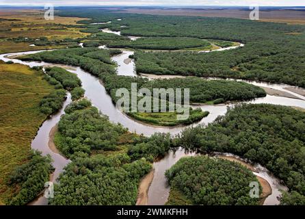Photo aérienne montrant l'écosystème de la rivière tressée pour la fraie du saumon. Quand les saumons meurent, ils fertilisent tout le Pacific Rim. Eaux chaudes de volc... Banque D'Images