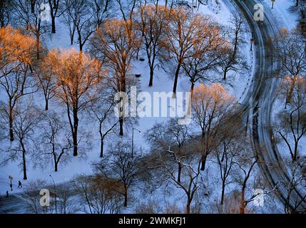 Le soleil du matin embrasse les sommets glacés des arbres d'hiver dans Central Park de New York recouvert de neige. Une vue surélevée montre un marcheur suivant un chemin courbe ... Banque D'Images