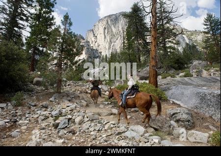 Les chevaux traversent les montagnes du parc national de King's Canyon, Californie, États-Unis d'Amérique Banque D'Images