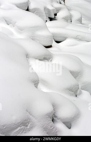 Gros plan de rochers recouverts de neige créant une scène de neige profilée le long d'une falaise ; Lake Louise, Alberta, Canada Banque D'Images