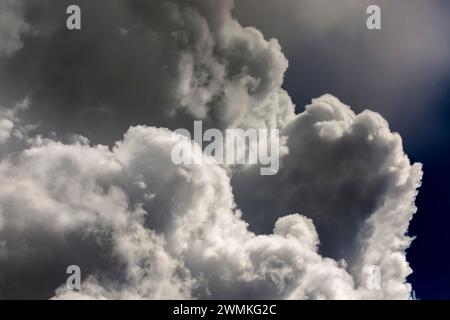 Gros plan spectaculaire de nuages de tempête gonflés dans un ciel sombre ; Calgary, Alberta, Canada Banque D'Images