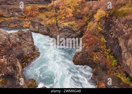 Toundra colorée d'automne le long de la rivière Hvita, juste en aval des chutes Barnafoss, près de Reykholt, dans l'ouest de l'Islande ; Islande Banque D'Images