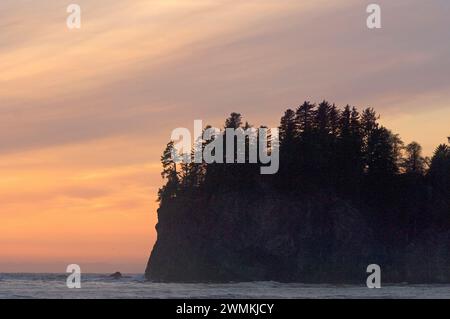 Plage Quileute la Push réservation Parc National Olympique dans la péninsule Olympique Washington USA Amérique Banque D'Images