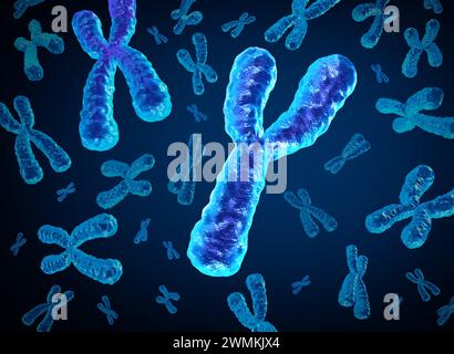 Disparition du chromosome y et disparition des chromosomes y en tant que concept pour une structure x de biologie humaine contenant de l'information génétique de l'adn en tant que médicament Banque D'Images