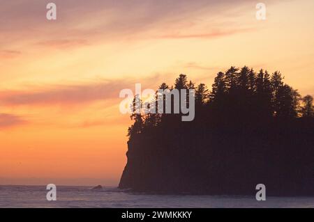 Plage Quileute la Push réservation Parc National Olympique dans la péninsule Olympique Washington USA Amérique Banque D'Images