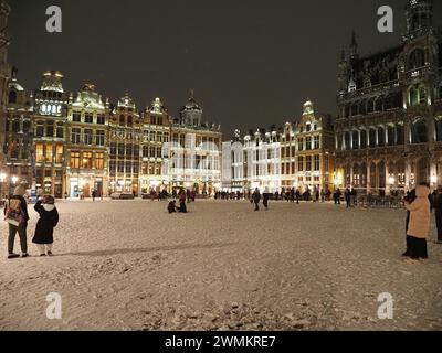 Citytrip et voyage en hiver, les points forts de Bruxelles, Belgique Banque D'Images