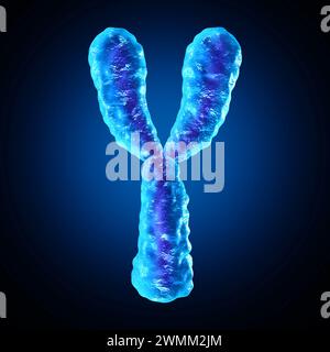 Chromosome y en tant que biologie humaine structure des chromosomes contenant de l'information génétique de l'adn en tant que symbole médical pour la thérapie génique ou la génétique microbiologique Banque D'Images