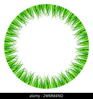 Herbe verte disposée à l'intérieur d'un cercle. Cadre de cercle coloré, fond et bordure circulaire décorative, fait de brins d'herbe frais. Banque D'Images