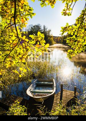 Une scène tranquille se déroule le long d'une rivière en Suède, où une barque repose contre un petit quai en bois. Entouré par les couleurs vibrantes des feuilles d'automne Banque D'Images