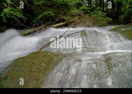 Gros plan de l'eau qui descend en cascade une montagne le long de rochers Banque D'Images