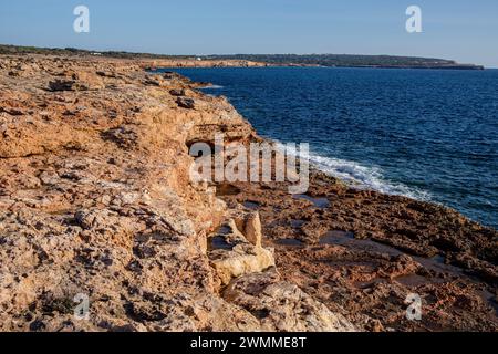 CAN Marroig domaine public, Formentera, Iles Pitiusa, Communauté des Baléares, Espagne Banque D'Images