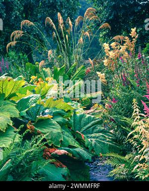 Jardin de tourbières avec Gunnera magellanica, hautes herbes ornementales stipa et astilbes, poussant dans les jardins de Marwood Hill dans les années 1990, Devon, Angleterre, Royaume-Uni Banque D'Images