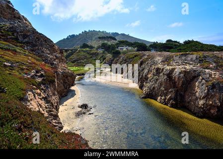 Eaux peu profondes du ruisseau Soberanes dans le parc d'État de Garrapata, Californie Banque D'Images