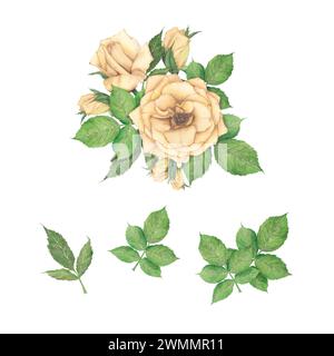 La composition des fleurs d'aquarelle. Roses jaunes et oranges, feuilles vertes peintes à la main, clipart sur fond blanc. illustration. Arrangement de fleurs Banque D'Images