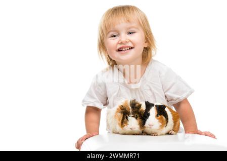 Petite petite fille mignonne avec des cobayes. Isolé sur fond blanc. Banque D'Images