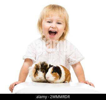 Petite petite fille mignonne avec des cobayes. Isolé sur fond blanc. Banque D'Images