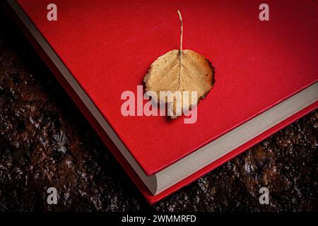 Une image minimaliste de nature morte d'une feuille d'automne tombée brune sur le dessus d'un livre rouge relié qui repose sur un sol boueux Banque D'Images