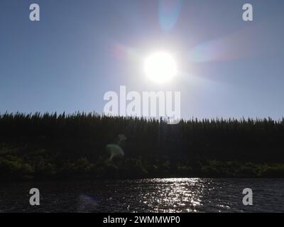 Ciel ouvert et soleil brillant un jour d'été. Arbres verts et eaux bleues fraîches. Le reflet lumineux du soleil aveuglant l'œil humain. Banque D'Images