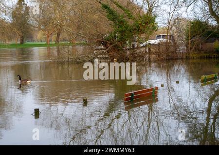 Datchet, Berkshire, Royaume-Uni. 27 février 2024. La Tamise a éclaté ses rives dans le village de Datchet, Berkshie. Une alerte aux inondations demeure en place pour la Tamise de Datchet à Shepperton Green, y compris Old Windsor, Wraysbury, Horton, Staines, Egham, Laleham et Chertsey. Crédit : Maureen McLean/Alamy Live News Banque D'Images