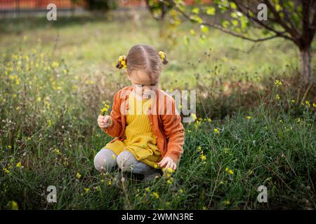 Une petite fille squat dans une clairière et recueille des fleurs en bouquet Banque D'Images