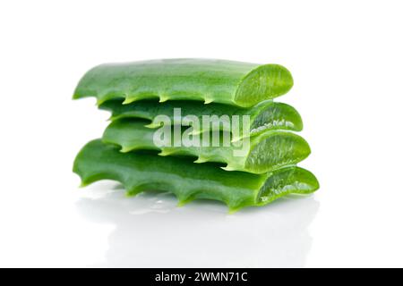Feuilles d'aloe vera fraîches sur fond blanc avec des gouttelettes d'eau. Pour les produits de santé et de beauté. Banque D'Images