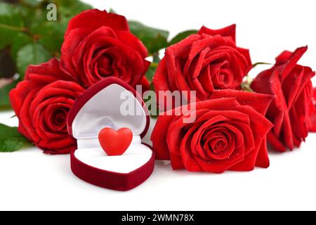 Bouquet de roses rouges avec boîte cadeau ouverte avec coeur sur fond blanc. Concept de la Saint-Valentin. Carte de vœux. Banque D'Images