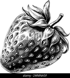 Fraise gravure main dessinée baie isolée Illustration de Vecteur