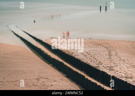brise-lames sur une plage hollandaise, un mur de mer qui brise la force des vagues. Deux rangées parallèles de poteaux en bois altérés. Banque D'Images