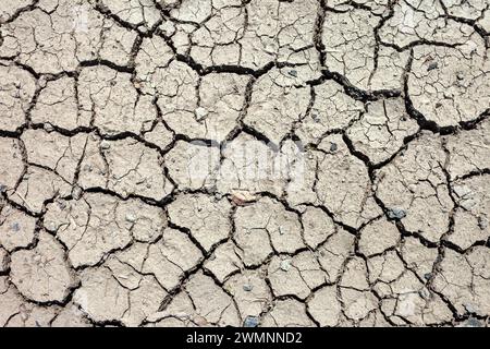 Sol gris fissuré sec, vue de printemps, vue de dessus Banque D'Images