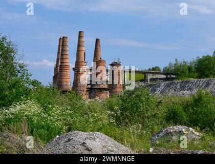 Paysage avec d'énormes tuyaux de briques en forme de cône d'une usine abandonnée parmi la verdure luxuriante avec des fleurs Banque D'Images