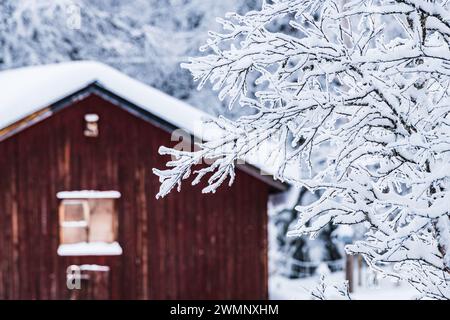 Une petite cabane rouge se détache au milieu d'une forêt enneigée en Suède. La neige recouvre le sol et les branches devant la cabine, créant un SC hivernal Banque D'Images