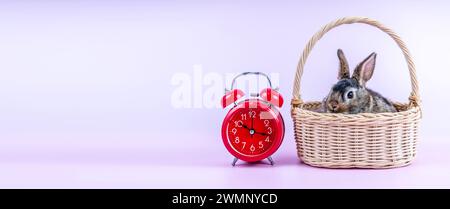 Un lapin mignon dans un panier en osier sur un fond rose. Banque D'Images