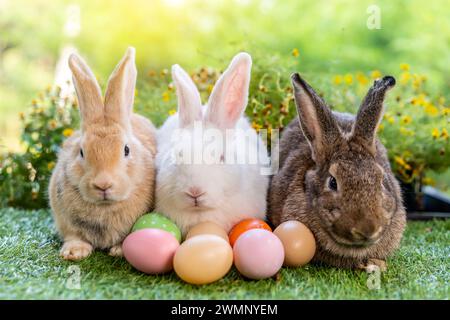 Une collection de lapins et d'œufs sur une pelouse verte. Banque D'Images