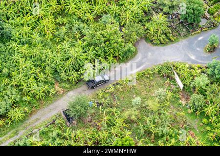 Une vue aérienne d'un VUS conduisant sur la route au milieu des cocotiers. Banque D'Images