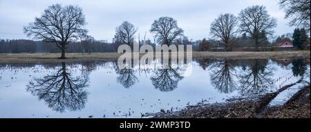 Garlitz, Allemagne. 27 février 2024. Les arbres se reflètent dans l'eau sur un champ partiellement inondé. De nombreux agriculteurs du nord de l'Allemagne s'inquiètent de plus en plus de leurs champs et de leurs prairies, dont certains sont inondés ou du moins mouillés. Dans une grande partie de la basse-Saxe, du Mecklembourg-Poméranie occidentale et du Schleswig-Holstein, les agriculteurs ne peuvent actuellement pas utiliser de machinerie lourde sur les sols inondés. Crédit : Jens Büttner/dpa/Alamy Live News Banque D'Images