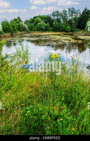 vale of evesham country park worcestershire angleterre royaume-uni Banque D'Images