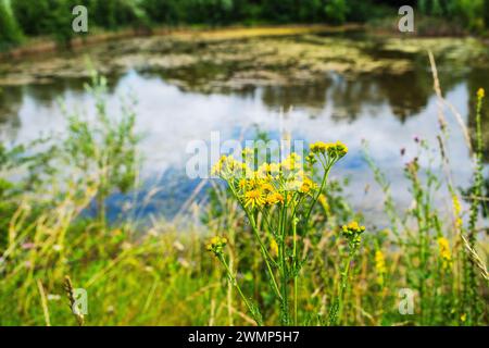 vale of evesham country park worcestershire angleterre royaume-uni Banque D'Images