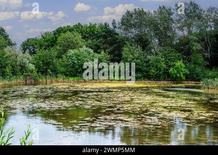 vale of evesham country park worcestershire angleterre royaume-uni Banque D'Images